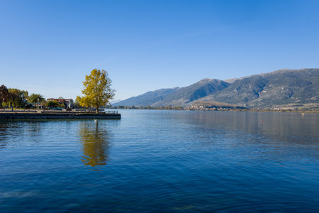 Ioannina, Greece - October 22, 2020: A lakeside scene at Lake Ioannina shows a tree with autumn foliage on a waterfront promenade, its reflection in the calm water, and mountains in the background under a clear blue sky.のeditorial素材