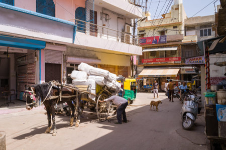Jodhpur, India - March 26, 2022: A man adjusts a horse-drawn cart heavily loaded with large white bundles on a commercial street, with shops, auto rickshaws, pedestrians, a stray dog, and overhead power lines visible in the background.のeditorial素材