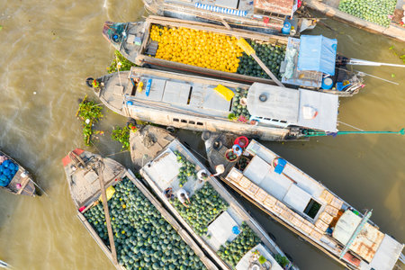 Cai Rang, Vietnam - January 19, 2020: Aerial view of several wooden boats clustered on the river, with vendors selling watermelons, yellow fruit, and other goods at the Cai Rang floating market.のeditorial素材