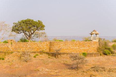 Chittorgarh, India - March 21, 2022: A stone fort wall with a domed pavilion and a large tree is seen at Maharani Padmini Reservoir, with dry rocky ground and sparse vegetation in the foreground under a clear sky.のeditorial素材