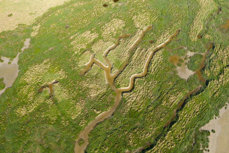 Reserve Ornithologique du Gros Banc, France - April 13, 2021: Aerial view of marshland with winding water channels, grassy areas, and patches of mud at Reserve Ornithologique du Gros Banc.のeditorial素材