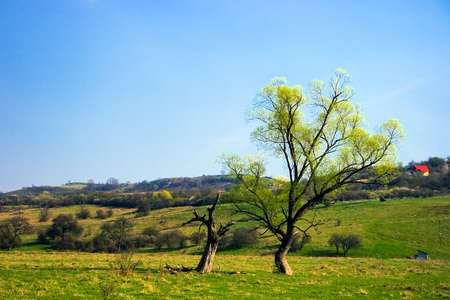Landscape in one small village (Charlotenburg) from district Arad, Romania. April 2009.の写真素材