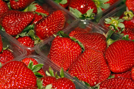 Closeup of bunch of fresh strawberries の写真素材