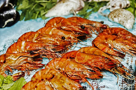 Arranjment cooking with different varieties of fish の写真素材