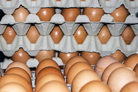 Eggs stored in formwork and ready for saleの写真素材