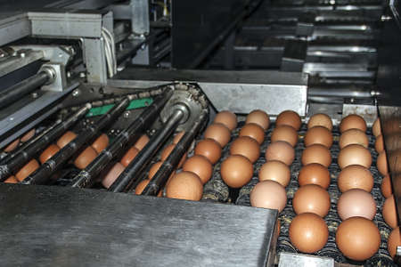 Transportation and industrial plant selection for eggの写真素材