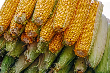 Corn for cooking exposed in bulk for sale 