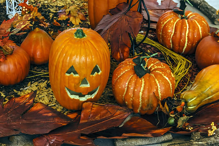 Specific arrangement of halloween pumpkins in an autumn setting 