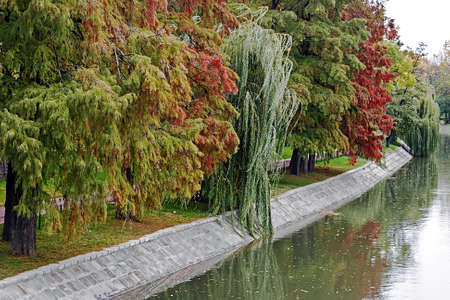 Autumn view on the river Bega in Timisoara, Romania の写真素材