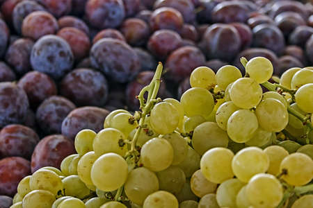 White grapes and plums exposed to sale in bulk in a market の写真素材