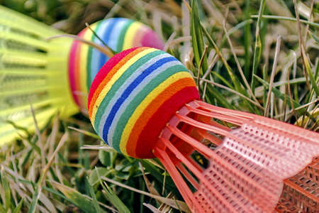 Badminton colored shuttlecocks placed on the grass の写真素材