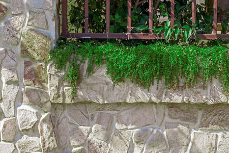 Fence made with ornamental stone and metal. Decorative greenery.の写真素材