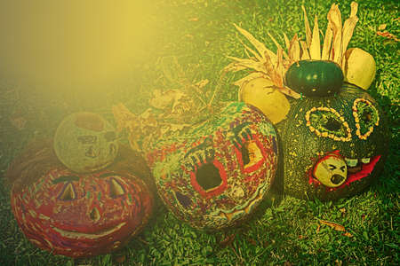 Halloween pumpkins made and painted multicolor by children. Autumn sunset light.の写真素材