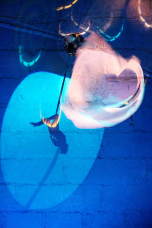 Circus show with acrobatics, projected on a wall.の写真素材