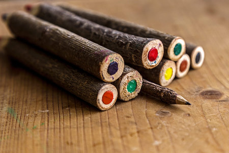 Colored pencils handmade from branches of trees and placed on a wooden table.の写真素材