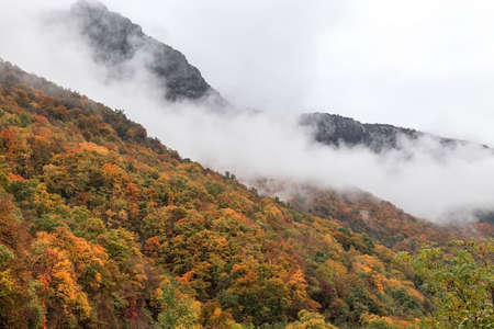Autumn at the Danube Gorges, the border between Romania and Serbia. Serbian part.の写真素材