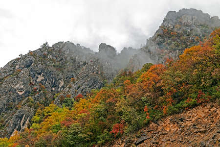 Autumn at the Danube Gorges, the border between Romania and Serbia. Serbian part.の写真素材