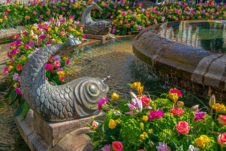 Floral decorations in Victory Square on the occasion of the Flower Festival organized by the City Hall. Old fountain is support.の写真素材