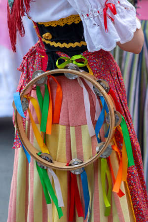 Detail of Italian folk costume for woman with multi colored embroidery and one musical instrument.の写真素材