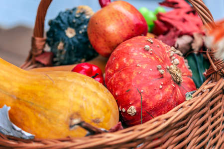 Autumn arrangement with pumpkins in basket.の写真素材