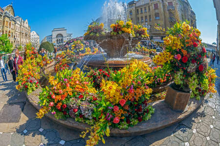 TIMISOARA, ROMANIA - APRIL 20, 2019: Floral decorations in Victory Square on the occasion of the Flower Festival organized by the City Hall.のeditorial素材