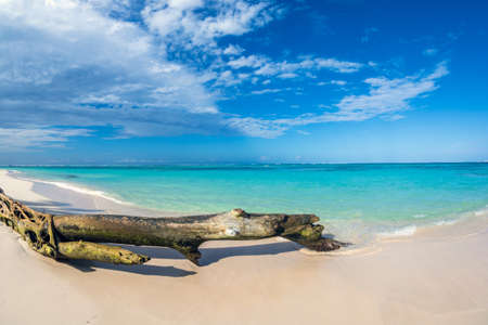 Beautiful wild and sand beach in Punta Cana, Dominican Republic. Fish eye view.の写真素材
