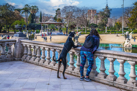 BARCELONA, CATALONIA, SPAIN - FEBRUARY 27, 2022: Funny situation in which a dog imitates its owner who looks relaxed at the activities in Ciutadela Park, Barcelona, Spain.のeditorial素材