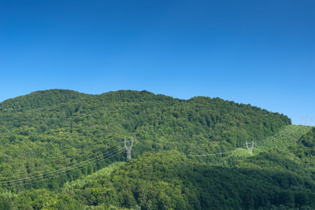 High Voltage Lines in forest landscape with clear blue skyの写真素材