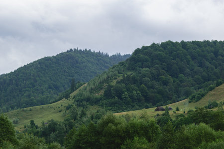 green hills covered with green forest and stormy cloud sky