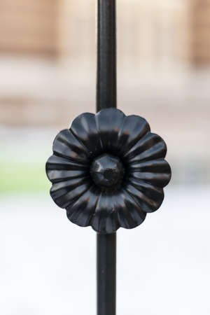 metal flower close up detail. ironwork ornament
の写真素材