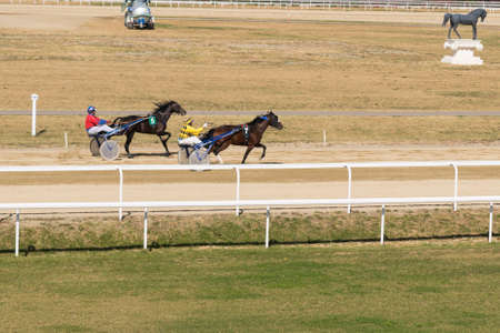 Ploiesti, Romania - October 07, 2018: A trotting horse race held on Ploiesti Hippodrome in Prahova, Romania.のeditorial素材