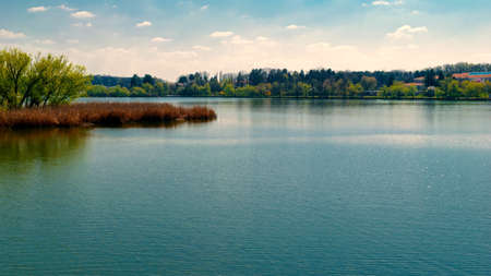big lake and forest tree on the shore bankの写真素材