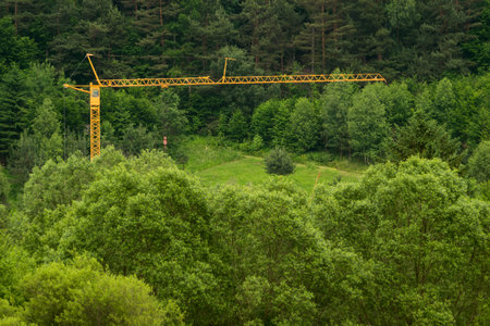 big yellow construction crane installed in the middle of the green forestの写真素材