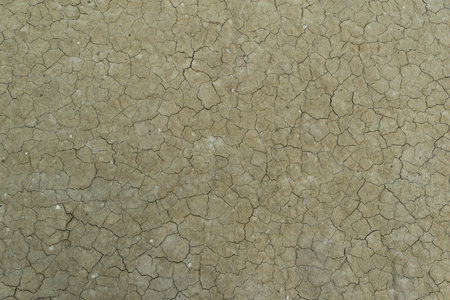 close-up detail of cracked soil mud pattern - desertification effect