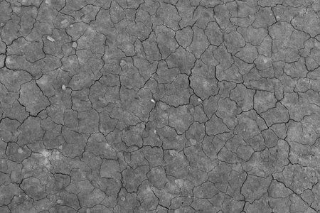 close-up detail of cracked soil mud pattern monocrome