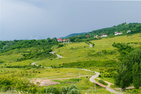 undulating road thru green grass field hills