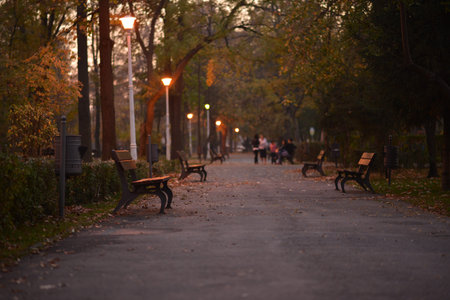 A silent walk through the parkの写真素材