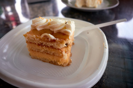 piece of a delicious cake