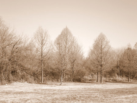 winter の写真素材