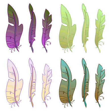 Set of multicolored feathers hand-drawn.のイラスト素材
