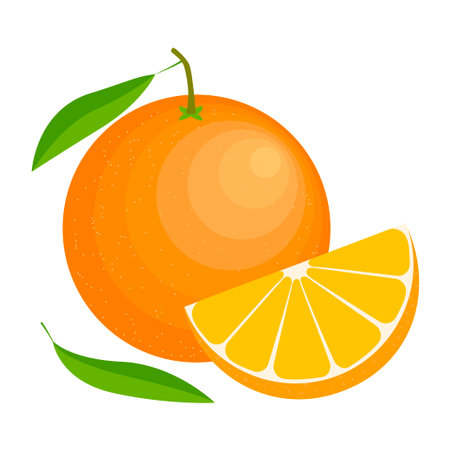 Cartoon vector illustration orange. Whole and slice orange with a leaf isolated on white background.のイラスト素材