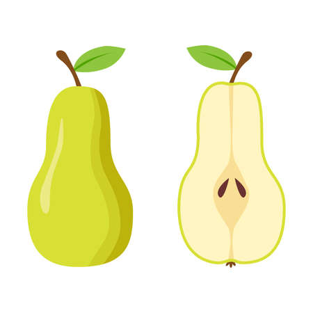 Fresh green pear in flat style. Vector whole and half pear isolated on a white background.のイラスト素材