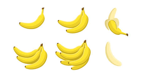 Set of with different quantity of bananas white background. Vector tropical fruit, peel and bunch yellow banana in cartoon style.のイラスト素材