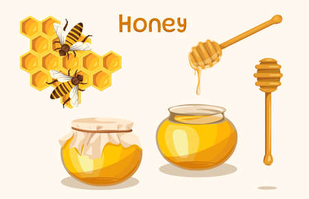 Illustration with liquid natural yellow honey on white background. Vector honeycombs with bee, closed and open glass jar with honey and wooden dipper in cartoon style.のイラスト素材