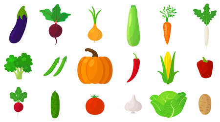 Set of fresh and tasty vegetables on white background. Vector eggplant, beets, onions, zucchini, carrots, white radishes and other vegetables in cartoon style.のイラスト素材