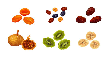 Set of tasty and sweet dried fruits on white background. Vector dried peach, raisin, date, fig, kiwi and banana in cartoon style.のイラスト素材