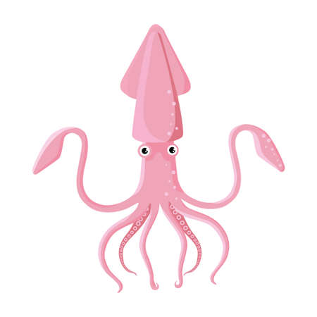Illustration beautiful pink squid on white background. Vector of sea squid with long tentacles in cartoon style.のイラスト素材