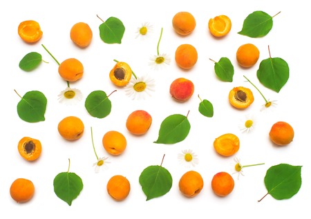 Fruit of apricot with leaf and flower chamomile isolated on white background. Useful healthy food with vitamins after exercising. Diet, weight loss. Sport. Flat lay, top viewの写真素材