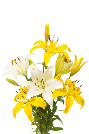 Bouquet of beautiful delicate white and yellow lilies isolated on white background. Wedding, bride. Fashionable creative floral composition. Summer, spring. Flat lay, top view. Love. Valentine's Dayの写真素材