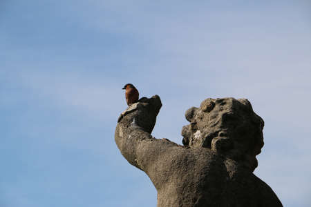 Finch bird on the arm of the stone statue against light blue skyの写真素材